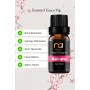 Japon Kirazı Çiçeği Sakutra Buhurdanlık Yağı Aromaterapi Yağ Difüzör Esansı Buhur Yağ Oda Kokusu 10 Ml.